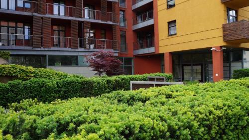 Apartment On Jagie?ly