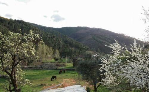 Agroturismo Quinta Das Covas