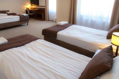 Bed & Breakfast Camelot