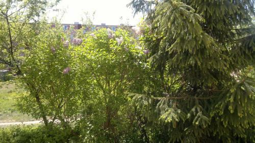 Studiospanie Apartament Kapitana