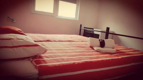 Albufeira Hostel