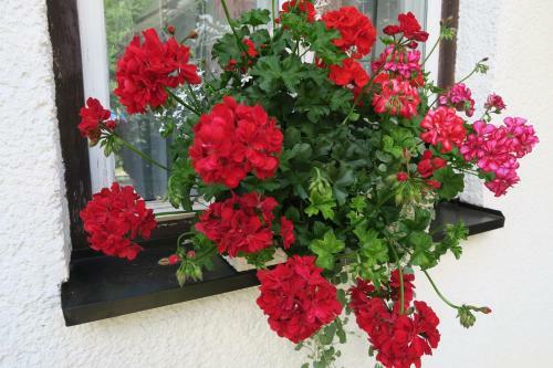 Hostal Horsk� Pension Gendorf