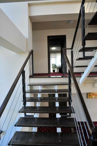 Hostal Pensiunea Novis