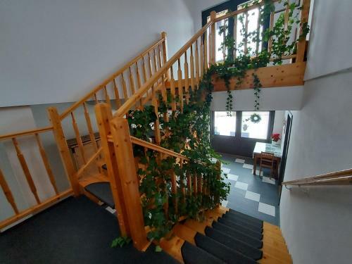 Bed & Breakfast Pensiunea Keisd