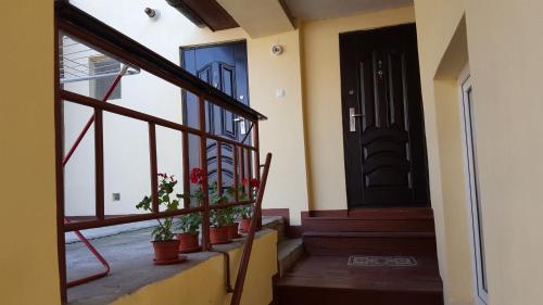 Alex Apartments