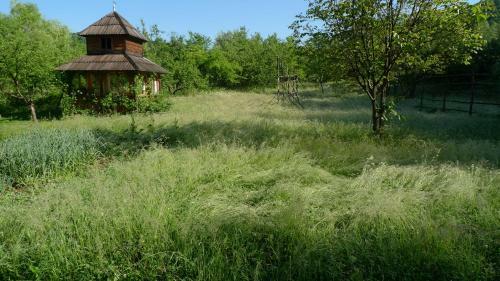 Woodenhouse Maramures