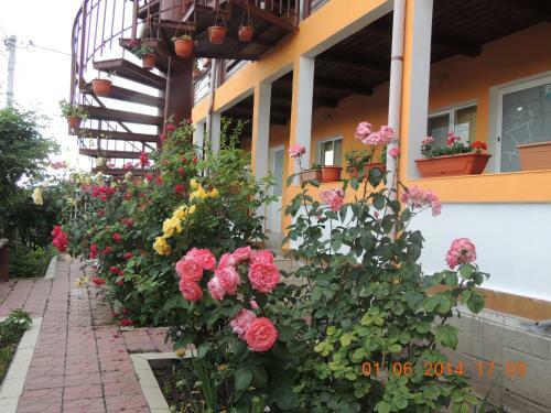 Hostal Pensiunea Iulia Sulina