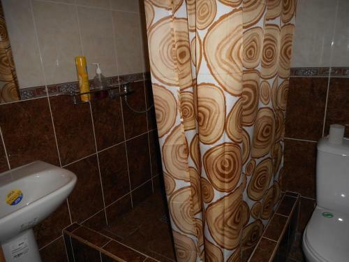 Hostal Zelyonyye Fonariki Guest House