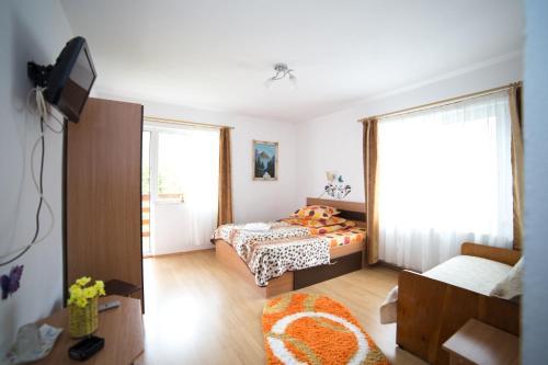 Hostal Pensiunea Constanta