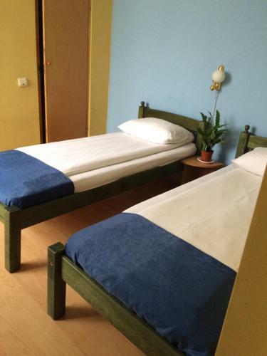 Hostal Pensiunea Casa Raul