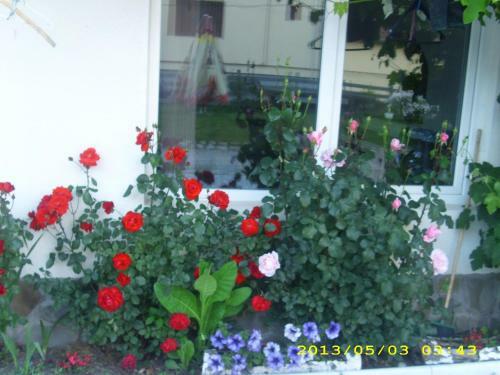 Hostal Pensiunea Belvedere