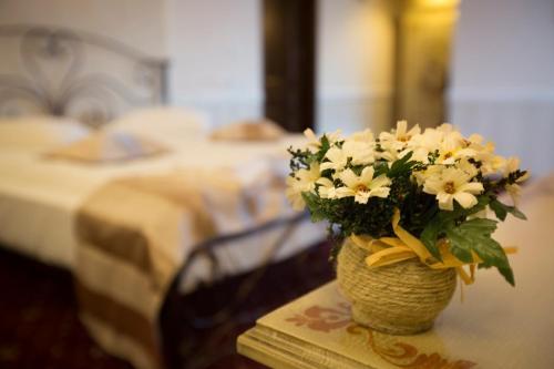 Hotel Aviator Boutique