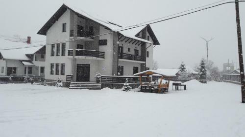 Hostal Pensiunea Ioana