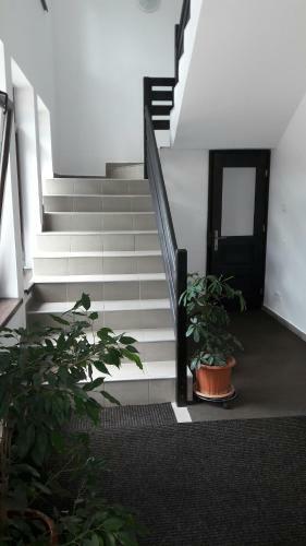 Hostal Pensiunea Ioana