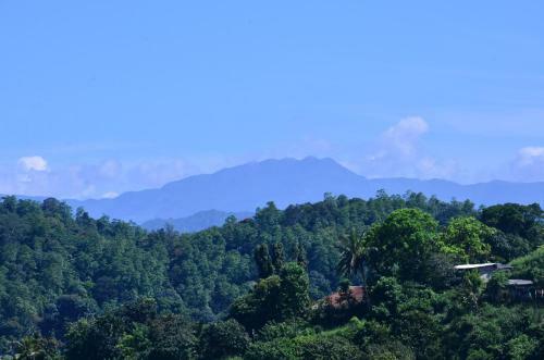 Hostal Kandyan White Holiday Homes