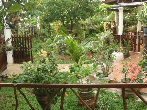 Bed & Breakfast New Jaya Villa
