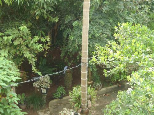 Bed & Breakfast New Jaya Villa