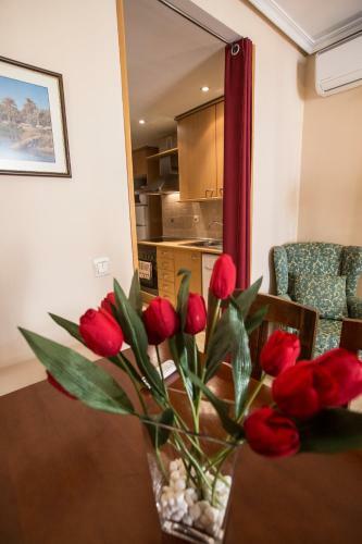 Apartamentos Caballero De Gracia