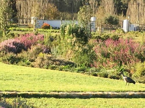 Hostal The Terraces @ Chambray Estate