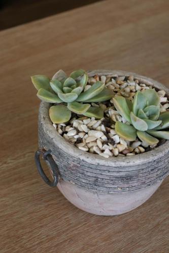 Manor One On Kingswood Golf Estate