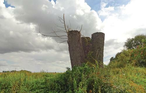 Agroturismo Two-bedroom Accommodation In Lund