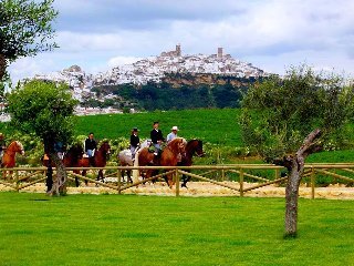 Bed & Breakfast La Casa De B�vedas