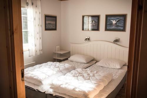 Sel�ter Camping