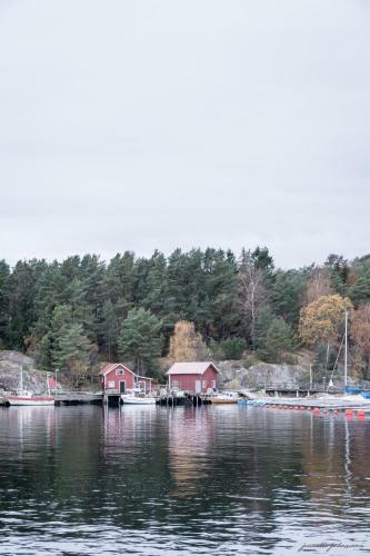 Sel�ter Camping