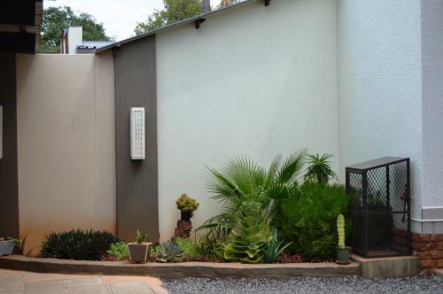 Hostal Rose Garden Overnight Stay