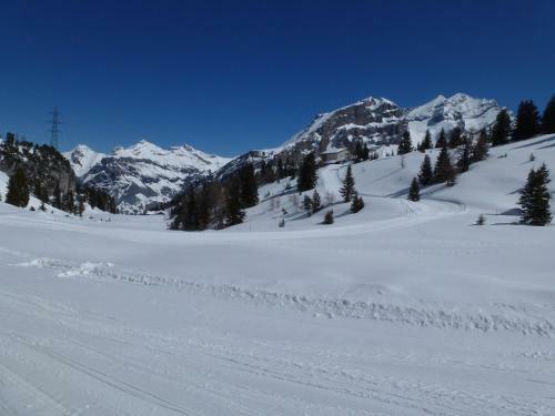 Apartamento Ferienwohnung Chalet Bergblume