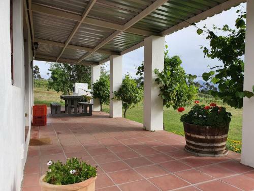 Fraaigelegen Farm Tulbagh