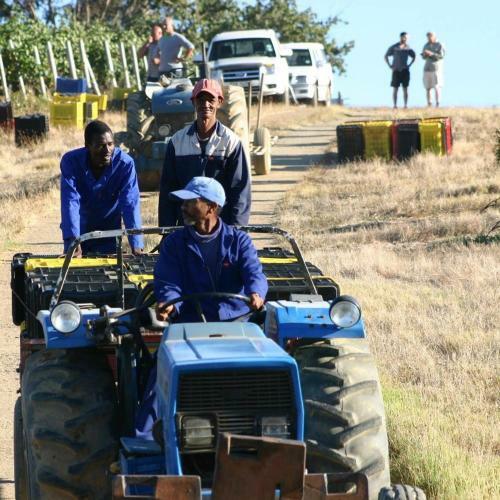 Fraaigelegen Farm Tulbagh