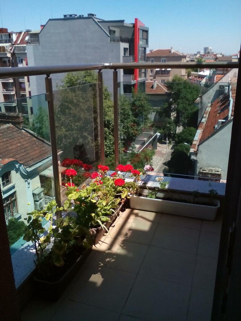 Hotel Alexander Business Apartments Sofia