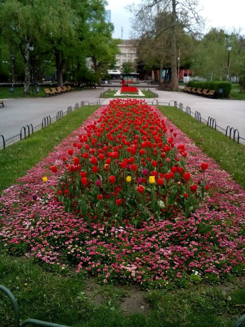 Hotel Alexander Business Apartments Sofia
