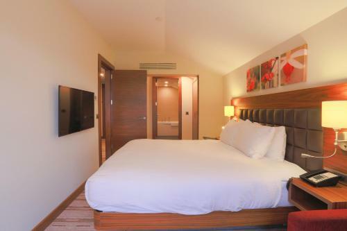 Hotel Hilton Garden Inn Eskisehir