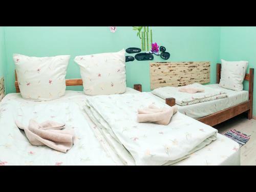 Apple Hostel
