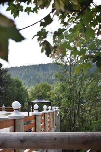 Alpin Hotel