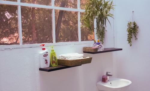 An Bang Purple Homestay