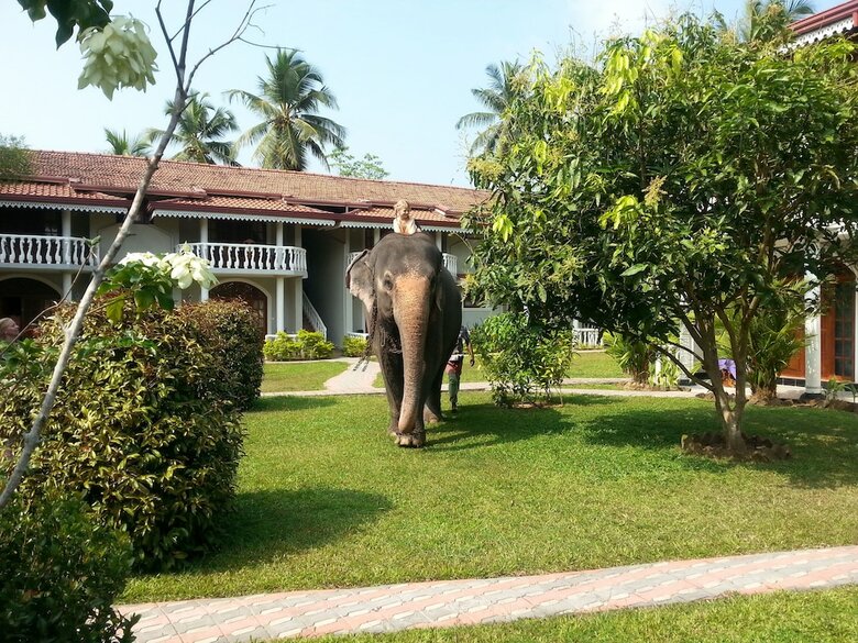 Hotel Bougainvilla