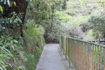 Hakone Guest House Toi - Hostel