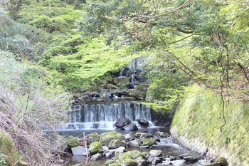 Hakone Guest House Toi - Hostel