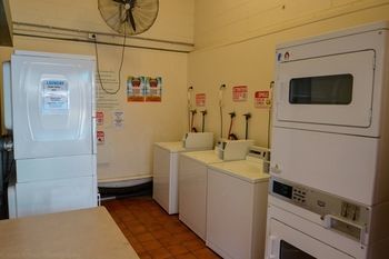 Youth Shack Backpackers - Hostel