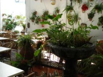 Hotel Los Patios