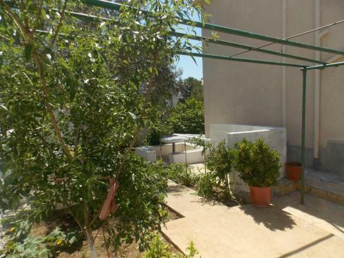 Hostal Guest House Vila Bega