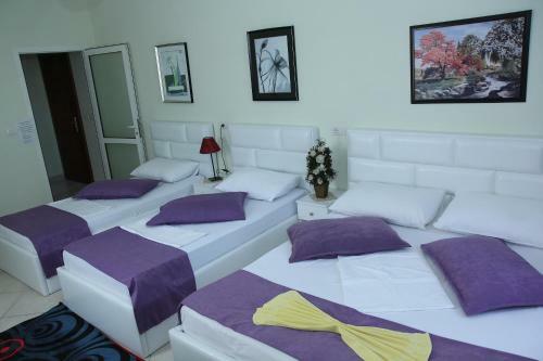 Hotel Bicaj