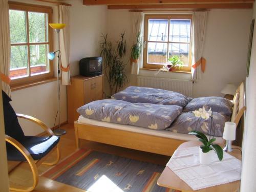 Apartment Landhaus Bachwinkl