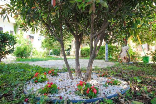 Holiday Apartments Altini