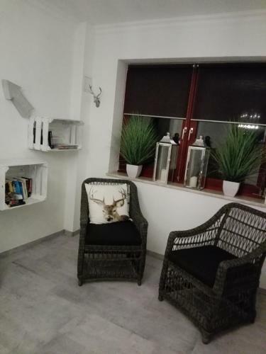 Apartmenthaus Alte B�rse