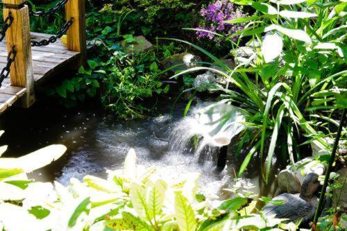 Hotel Skada City C�lln