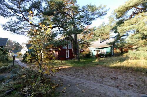 Strandhaus D�nenweg 17c Mit Terrasse Und Kamin
